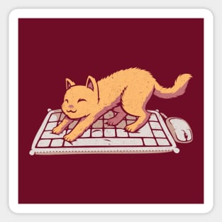 Cat Keyboard No Personal Space Sticker